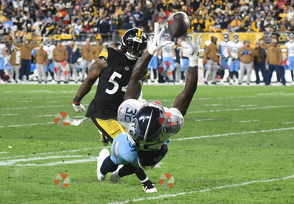 NFL: Tennessee Titans at Pittsburgh Steelers
