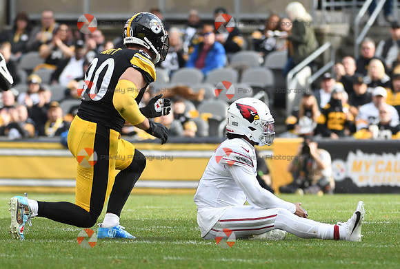 NFL: Arizona Cardinals at Pittsburgh Steelers