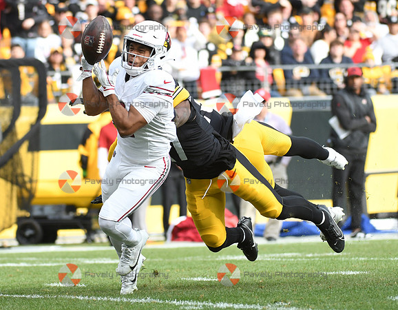 NFL: Arizona Cardinals at Pittsburgh Steelers