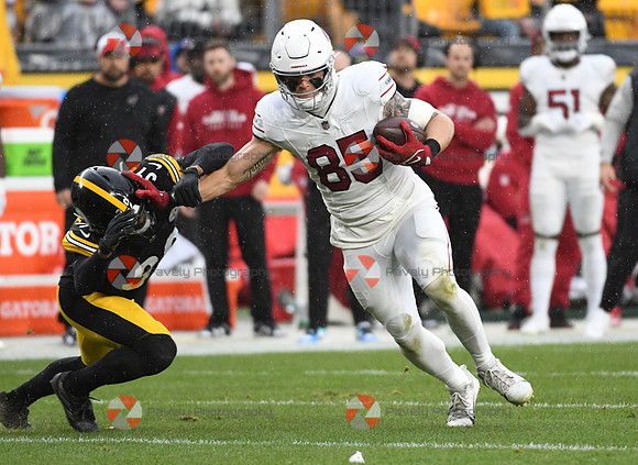 NFL: Arizona Cardinals at Pittsburgh Steelers