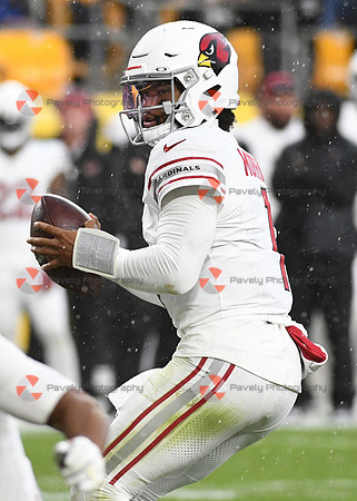 NFL: Arizona Cardinals at Pittsburgh Steelers