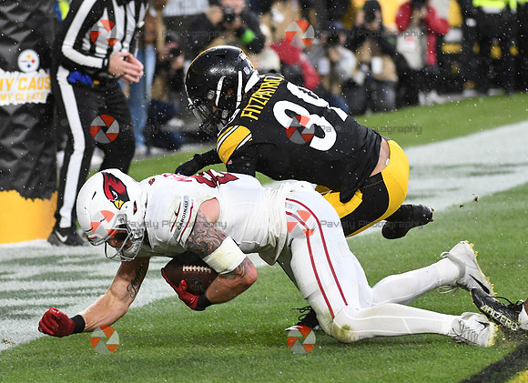 NFL: Arizona Cardinals at Pittsburgh Steelers
