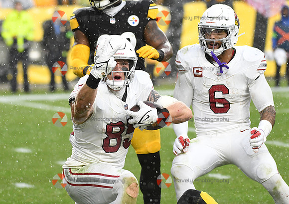 NFL: Arizona Cardinals at Pittsburgh Steelers