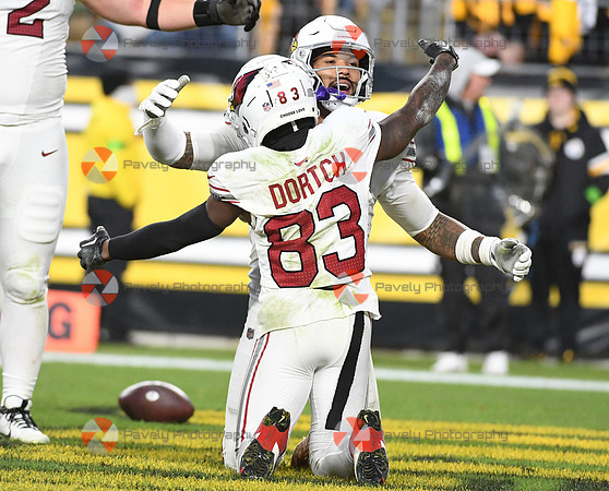 NFL: Arizona Cardinals at Pittsburgh Steelers