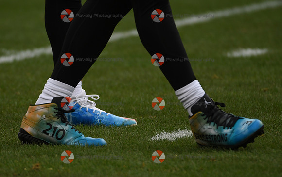 NFL: Arizona Cardinals at Pittsburgh Steelers