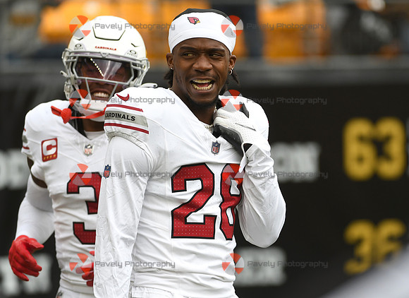 NFL: Arizona Cardinals at Pittsburgh Steelers