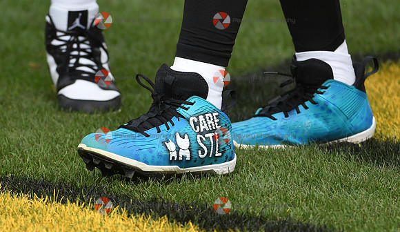NFL: Arizona Cardinals at Pittsburgh Steelers