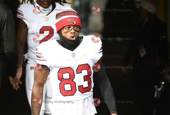 NFL: Arizona Cardinals at Pittsburgh Steelers