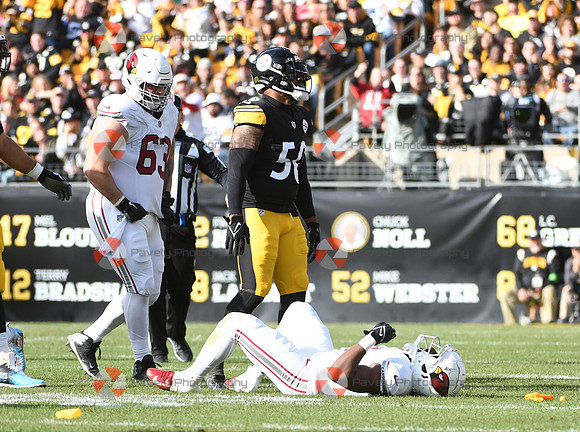 NFL: Arizona Cardinals at Pittsburgh Steelers