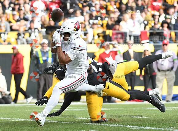 NFL: Arizona Cardinals at Pittsburgh Steelers