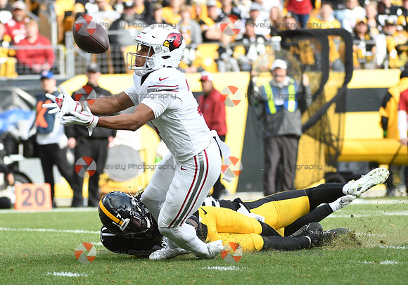 NFL: Arizona Cardinals at Pittsburgh Steelers