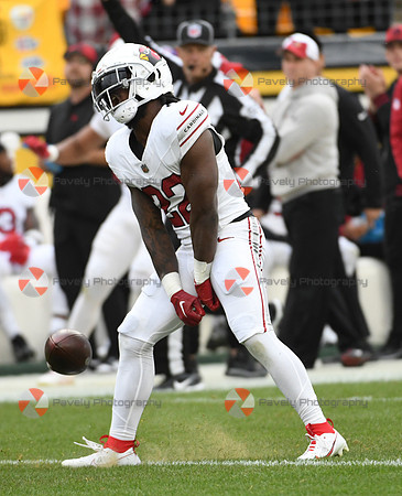 NFL: Arizona Cardinals at Pittsburgh Steelers