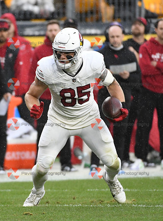 NFL: Arizona Cardinals at Pittsburgh Steelers