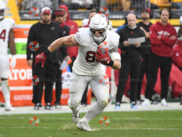 NFL: Arizona Cardinals at Pittsburgh Steelers