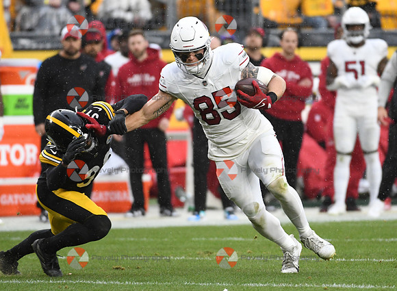NFL: Arizona Cardinals at Pittsburgh Steelers