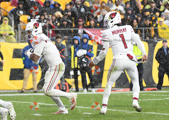 NFL: Arizona Cardinals at Pittsburgh Steelers