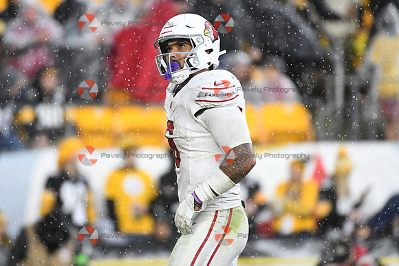 NFL: Arizona Cardinals at Pittsburgh Steelers