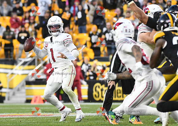 NFL: Arizona Cardinals at Pittsburgh Steelers