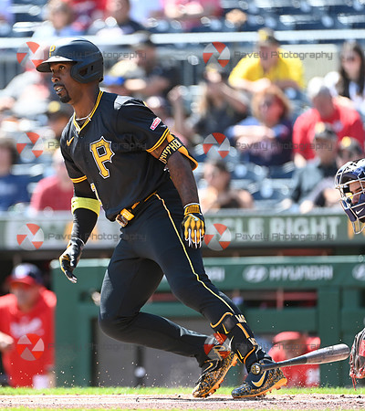 Pirates Baseball