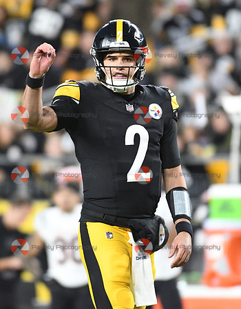 NFL: Cincinnati Bengals at Pittsburgh Steelers