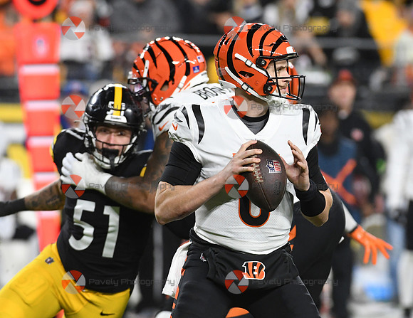 NFL: Cincinnati Bengals at Pittsburgh Steelers