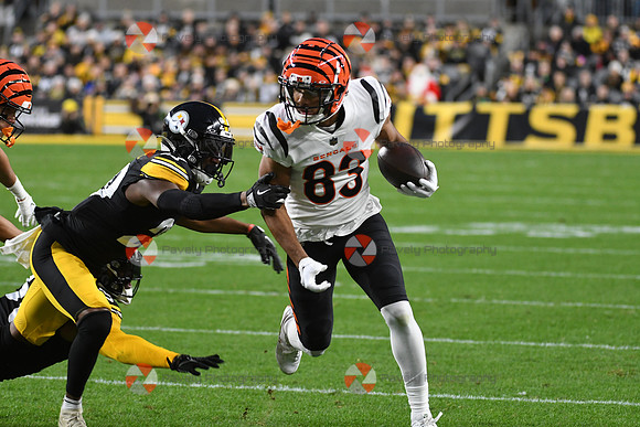 NFL: Cincinnati Bengals at Pittsburgh Steelers