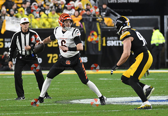 NFL: Cincinnati Bengals at Pittsburgh Steelers