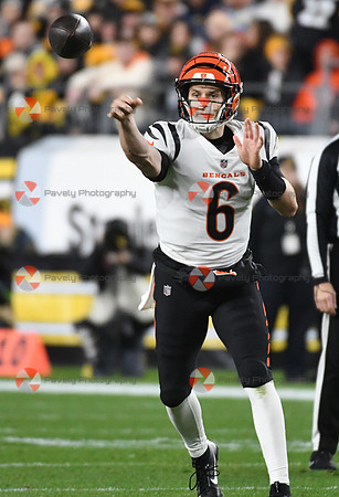 NFL: Cincinnati Bengals at Pittsburgh Steelers
