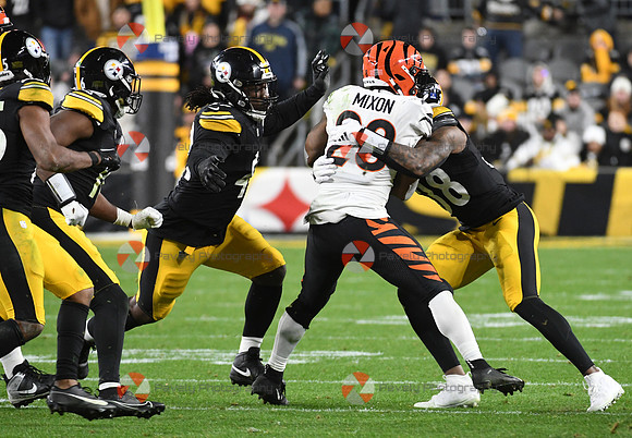 NFL: Cincinnati Bengals at Pittsburgh Steelers