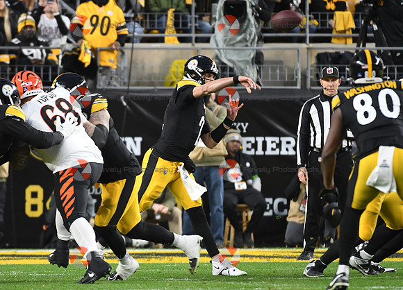 NFL: Cincinnati Bengals at Pittsburgh Steelers