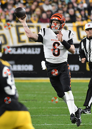 NFL: Cincinnati Bengals at Pittsburgh Steelers