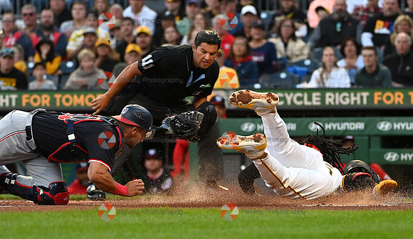 Pirates Baseball