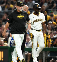 MLB: Arizona Diamondbacks at Pittsburgh Pirates