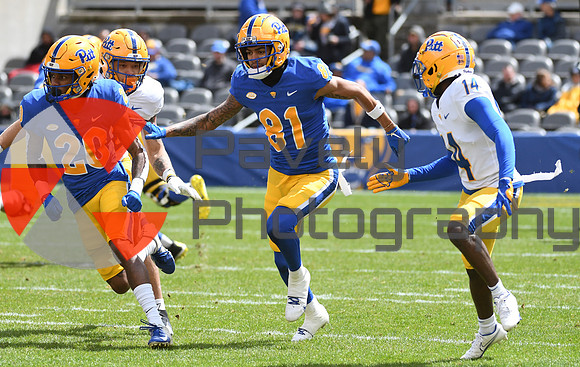 Pittsburgh Spring Football