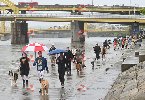 2025 P3R Pittsburgh Pet Walk